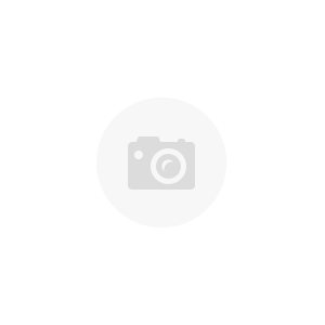 PRECALIBER 20 SS CST GIRLS SINGLE SPEED